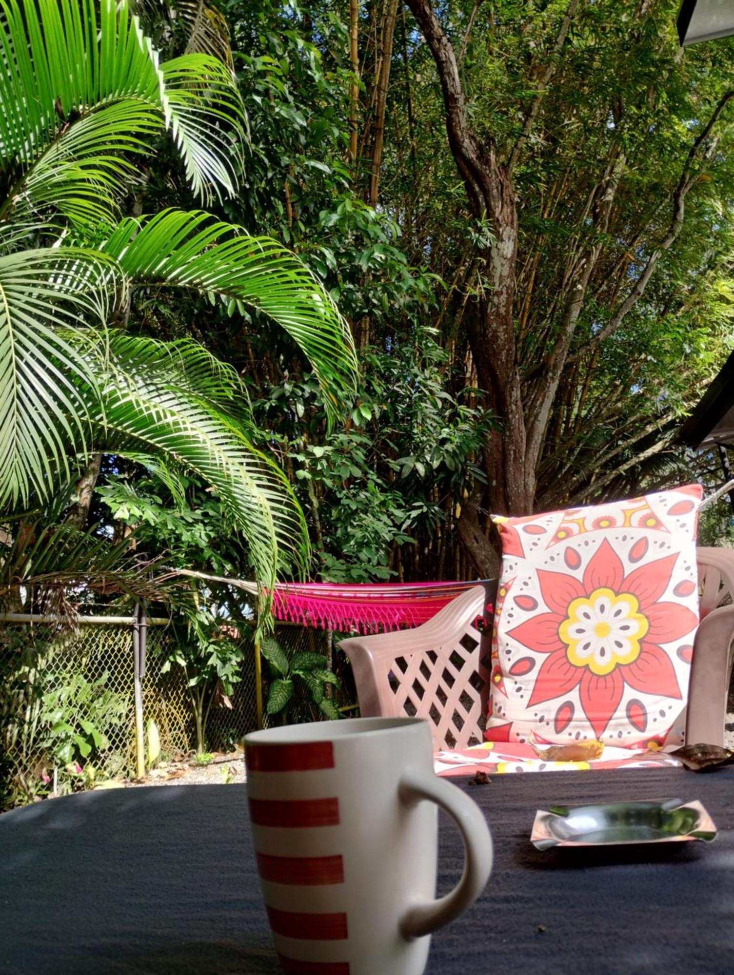 Casajungla Hostel Jacó Εξωτερικό φωτογραφία